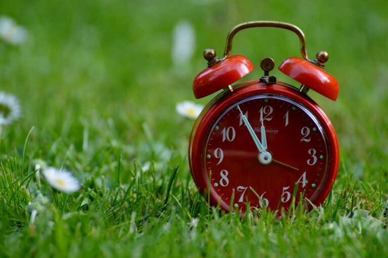A red clock sitting in the grass